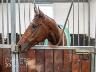HC240925-103 - Rousham